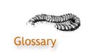 Description: Description: Glossary words